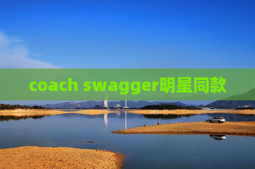 coach swagger明星同款